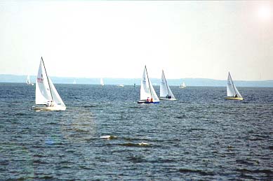 Sail Boats