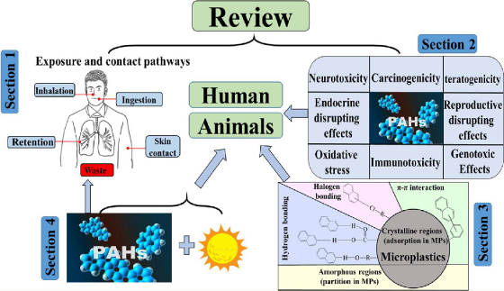 animalexposuretopahsscienceofthetotalenvironment.jpg