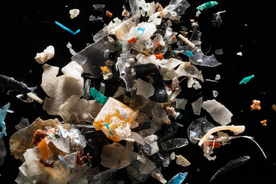 chesapeakebay-rhoderiver-microplastics.jpg