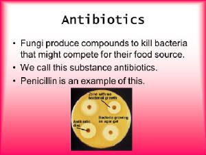 fungus-antibiotics.jpg