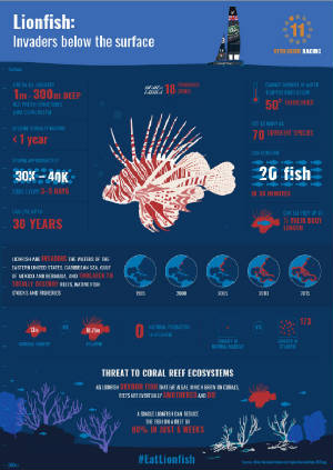 invasivespecies-lionfish-bermudaunderwaterexplorationinstitute.jpg