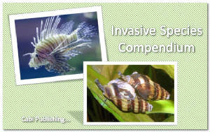 invasivespeciescompendium.jpg