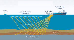 oilandgasoffshoredrillingseismicsurvey-noia.jpg