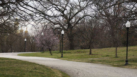 pattersonparklightpollutionlights-bybgeexelon.jpg