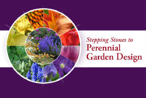 perennialgardendesignsteps.jpg