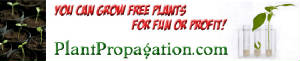 plantpropagationbanner.jpg