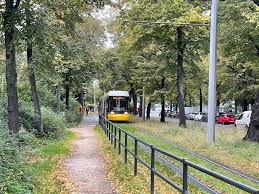 berlindedicatedtreesandgrasslanewithfence.jpeg