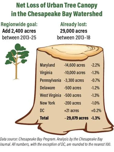 chesapeakebay-treecanopyloss2022.jpg