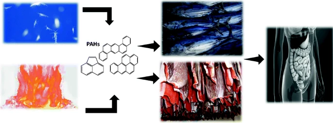 fish-driedsmokedandothernolongersafeforhumanconsumption-srilankanpahsresearchreports.jpg