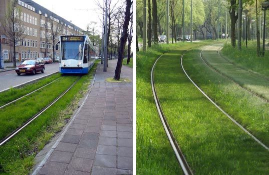 grasslanedstreetcarrails-goodurbandesign.jpg