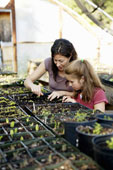 greenhousemotherdaughterfesteringplants.jpg