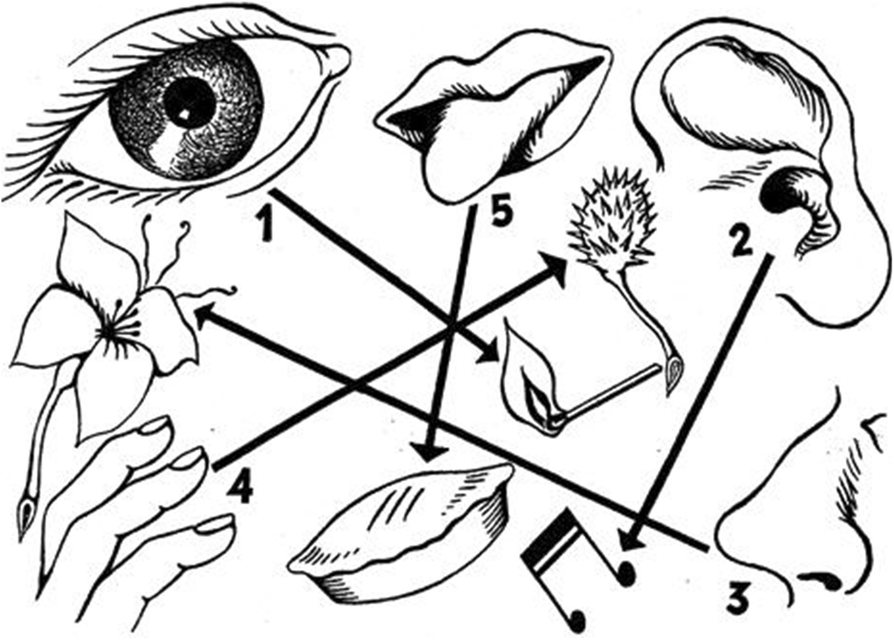 hierarchyofattentionalcapturebyeachsense-mortonheilig1992.jpeg