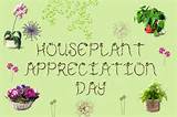 houseplantappreciationdayjanuary10th.jpg