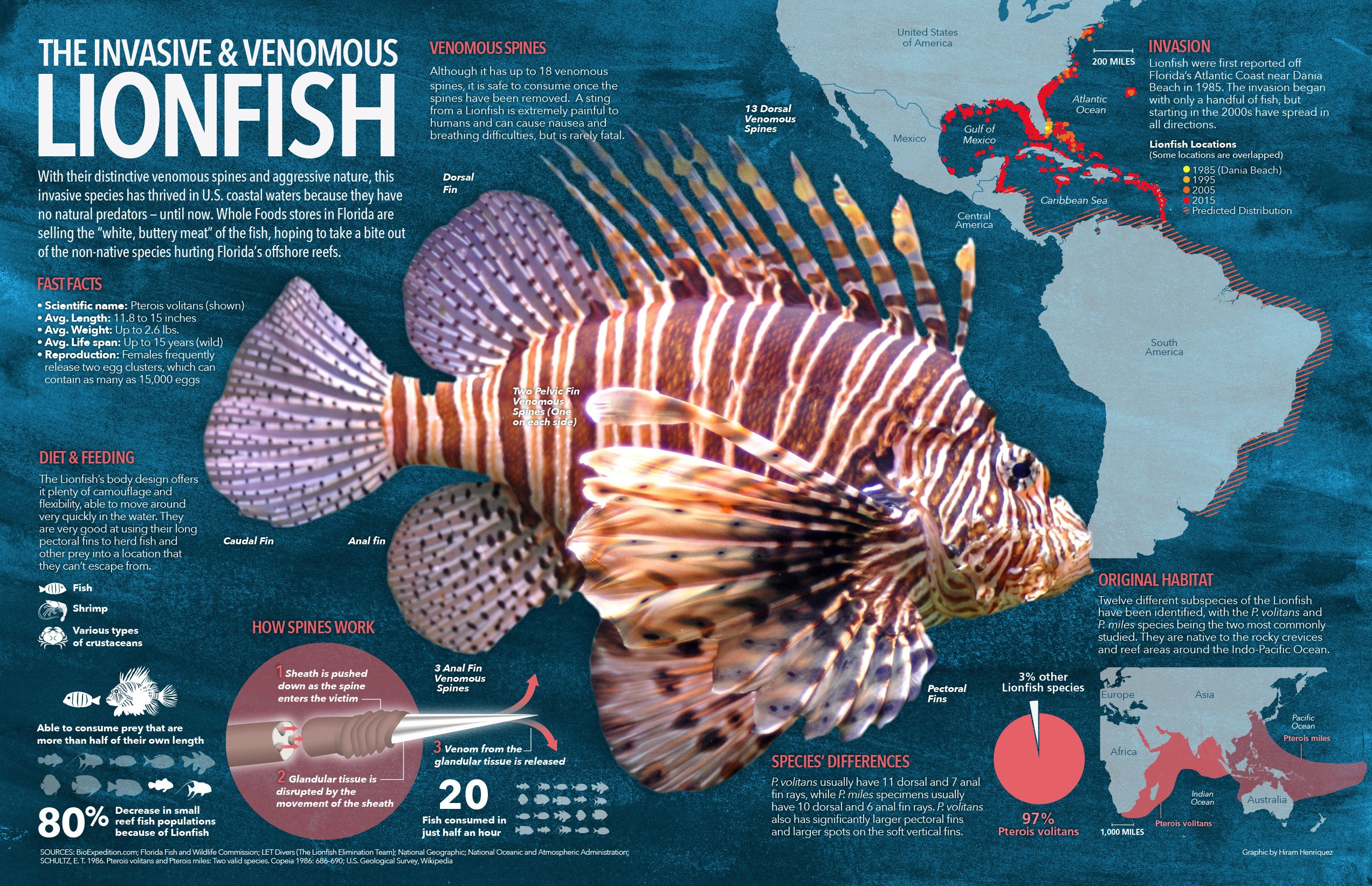 invasivespecies-lionfish.jpg