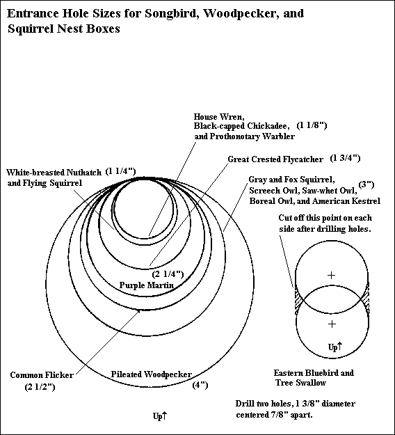 nestentranceholesizer.gif