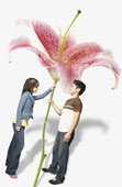 orchidgiantcouple.jpg