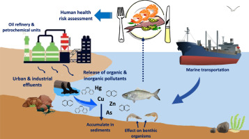 potentiallytoxicelementsandpolycyclicaromatichydrocarbonsinfishandprawninpersiangulfiran.jpg