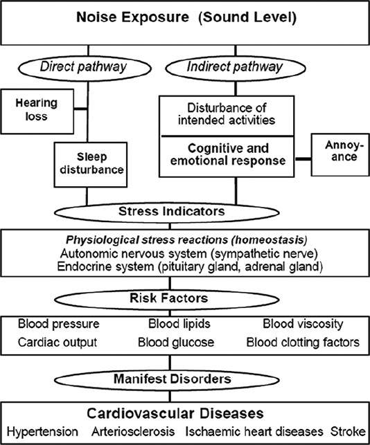 wolfgangbabischnoisehealth2014.jpg